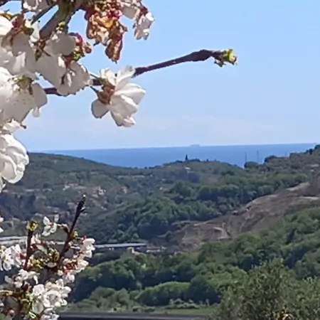 Casa Limoni Apartman Pontedassio